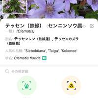画像274