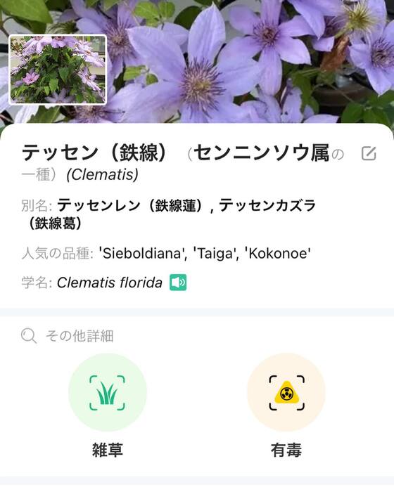 画像274