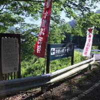 画像300