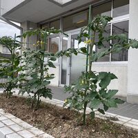 画像313