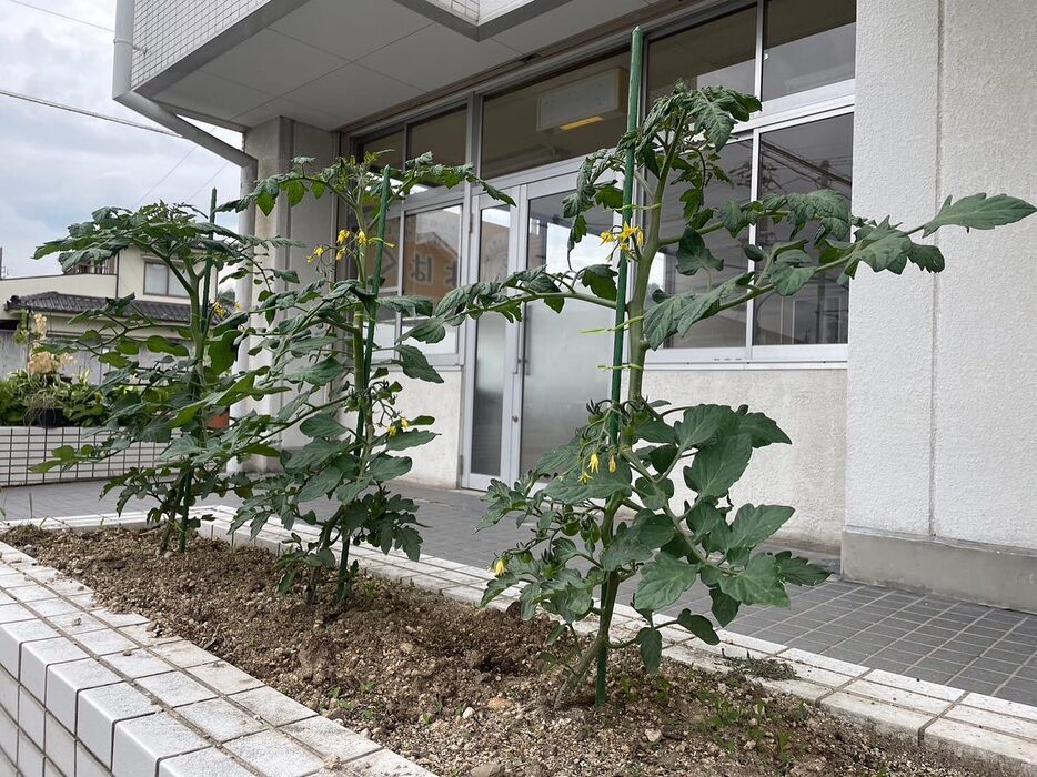 画像313