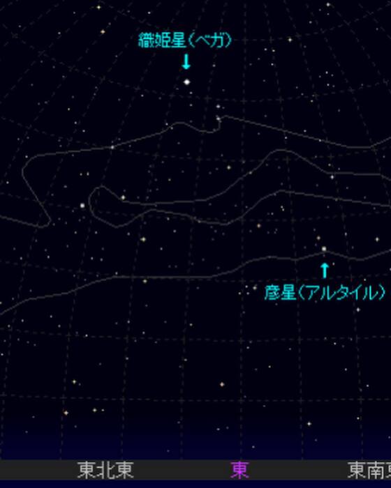 画像341