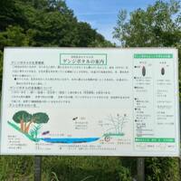 画像344