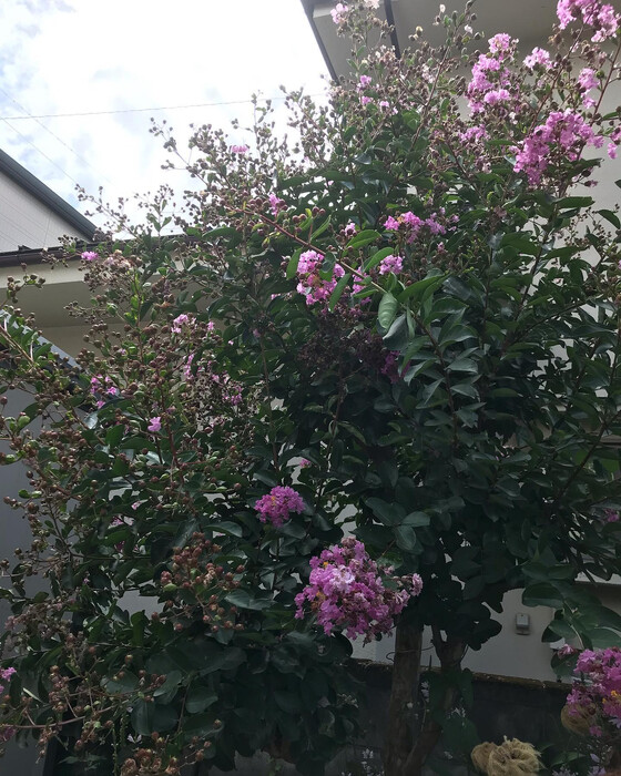 画像374