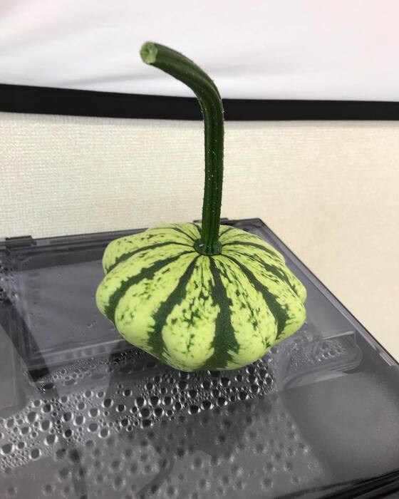 画像404