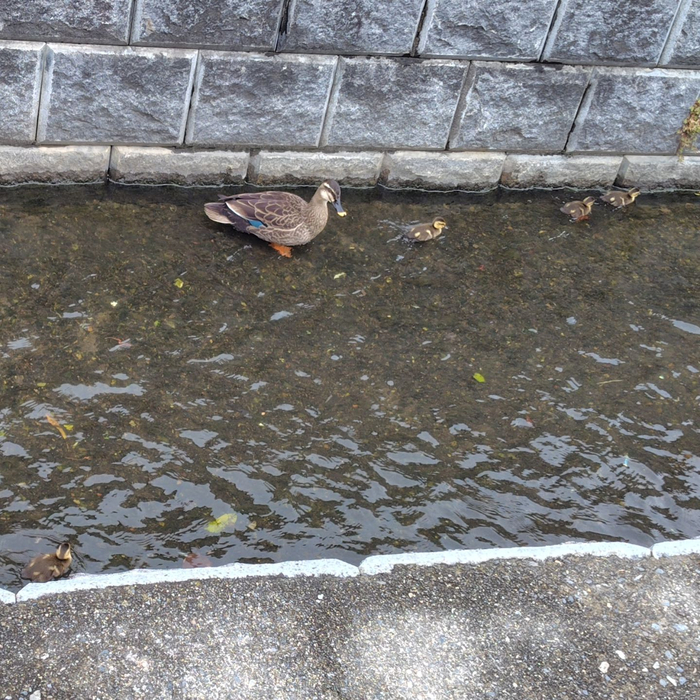 画像492